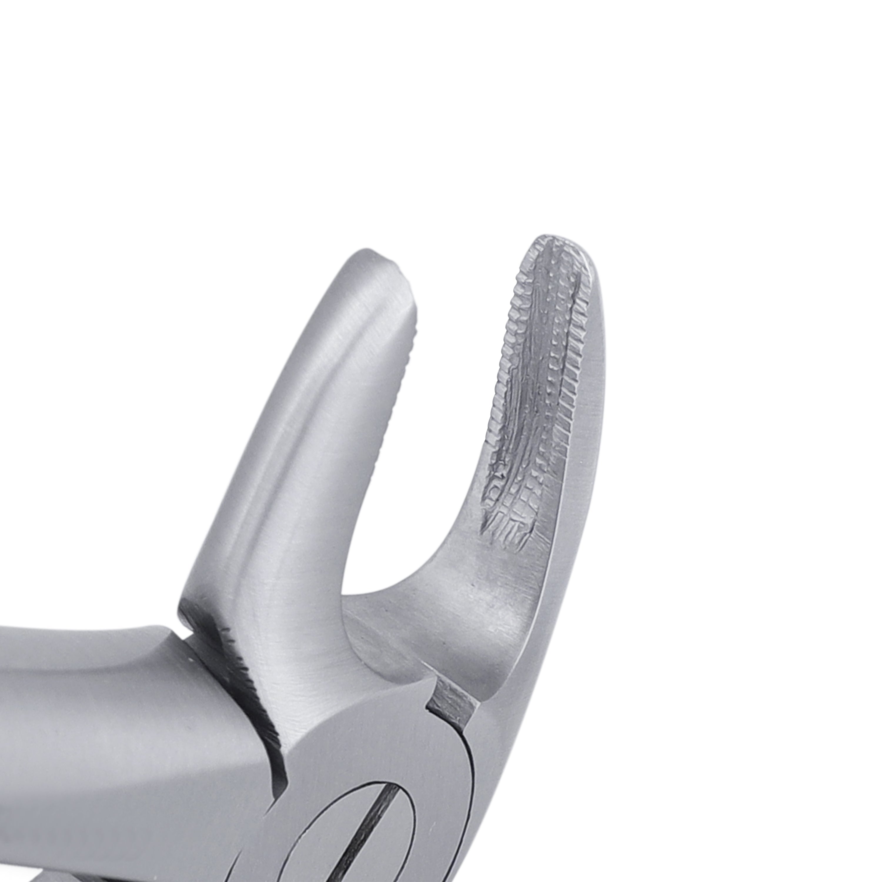 33 Lower Roots Serrated Extraction Forceps - HiTeck Medical Instruments