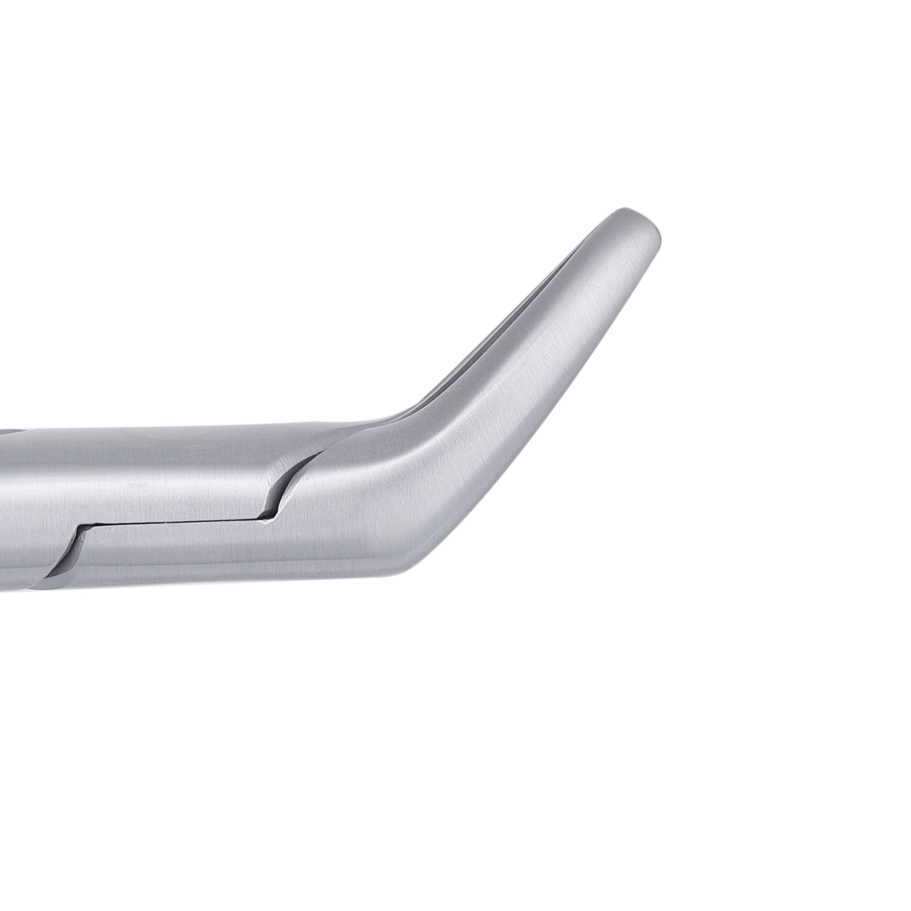 151 Cryer Universal Lower Incisors, Canines & Premolars Extraction Forceps - HiTeck Medical Instruments