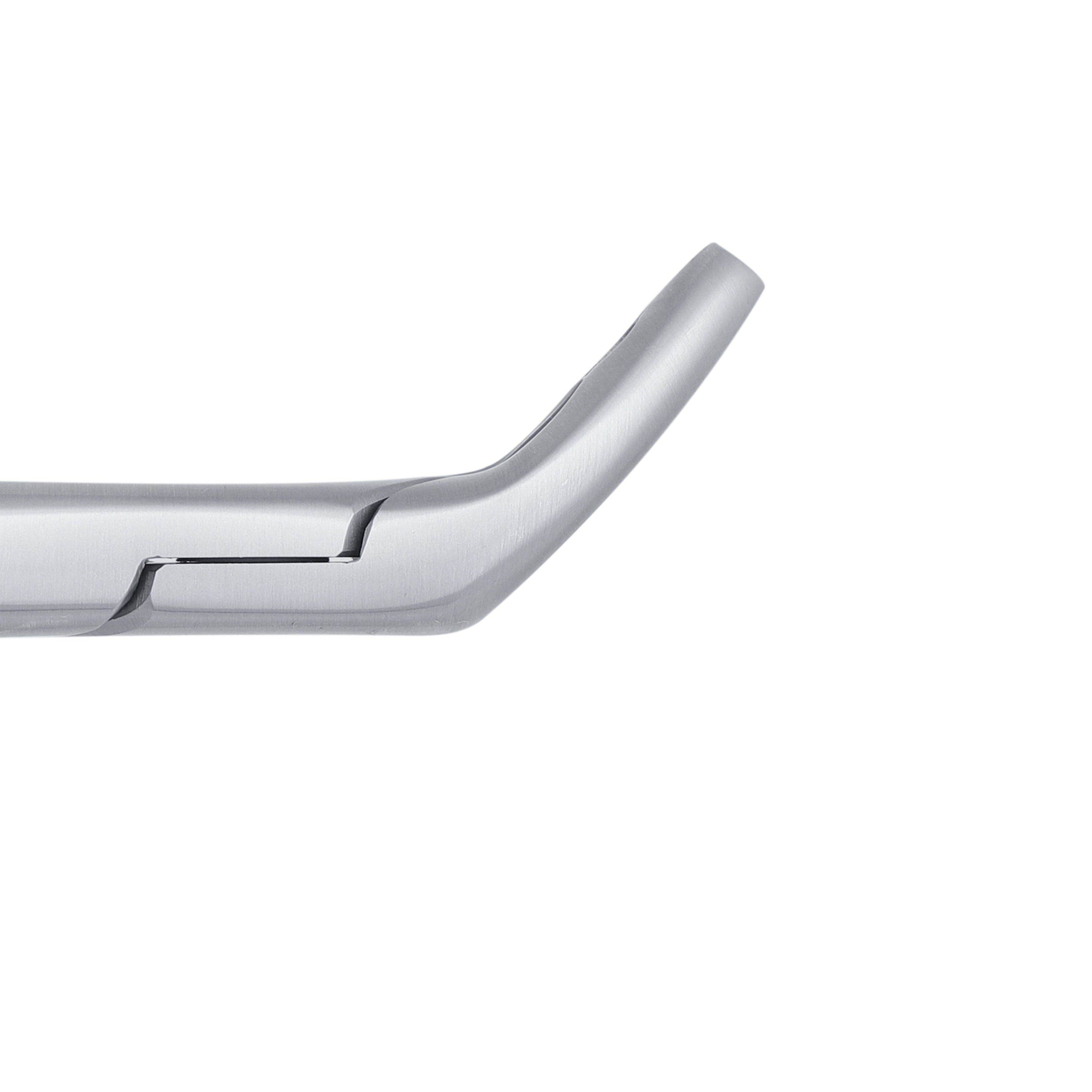 151AS Split Beaks Serrated Lower Incisors, Canines & Premolars Extraction Forceps - HiTeck Medical Instruments