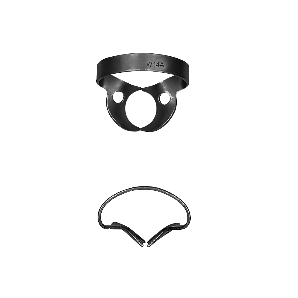 W14A Molars; General, Rubber Dam Clamp - HiTeck Medical Instruments