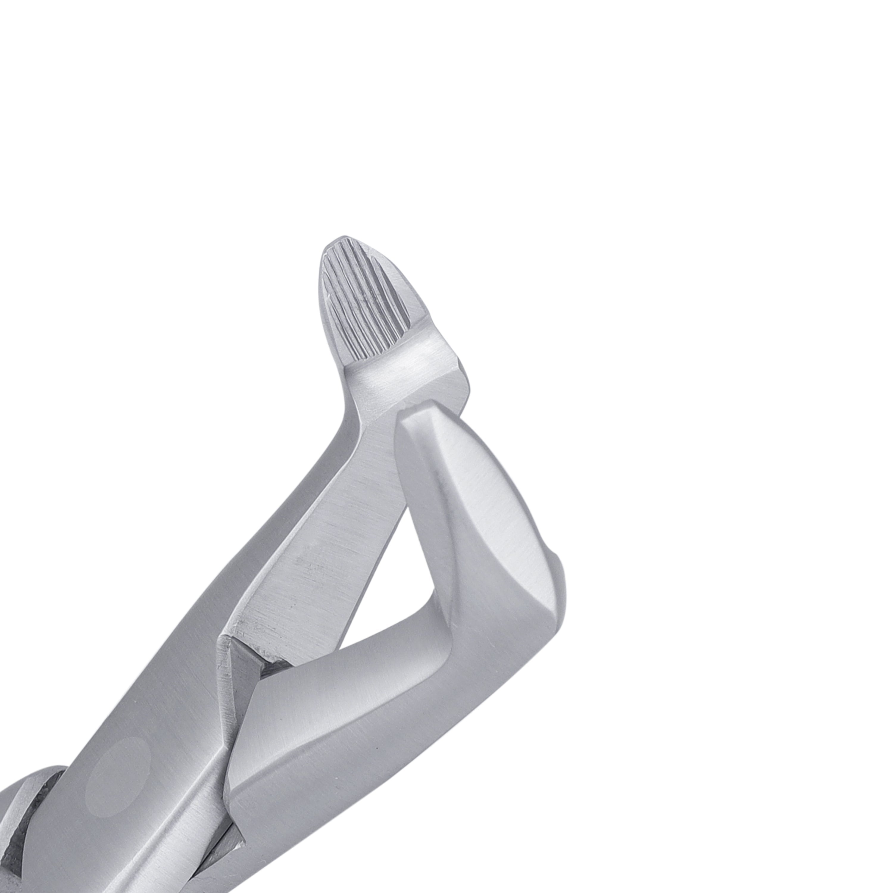 AF222 Apical Lower Molars Extraction Forceps - HiTeck Medical Instruments