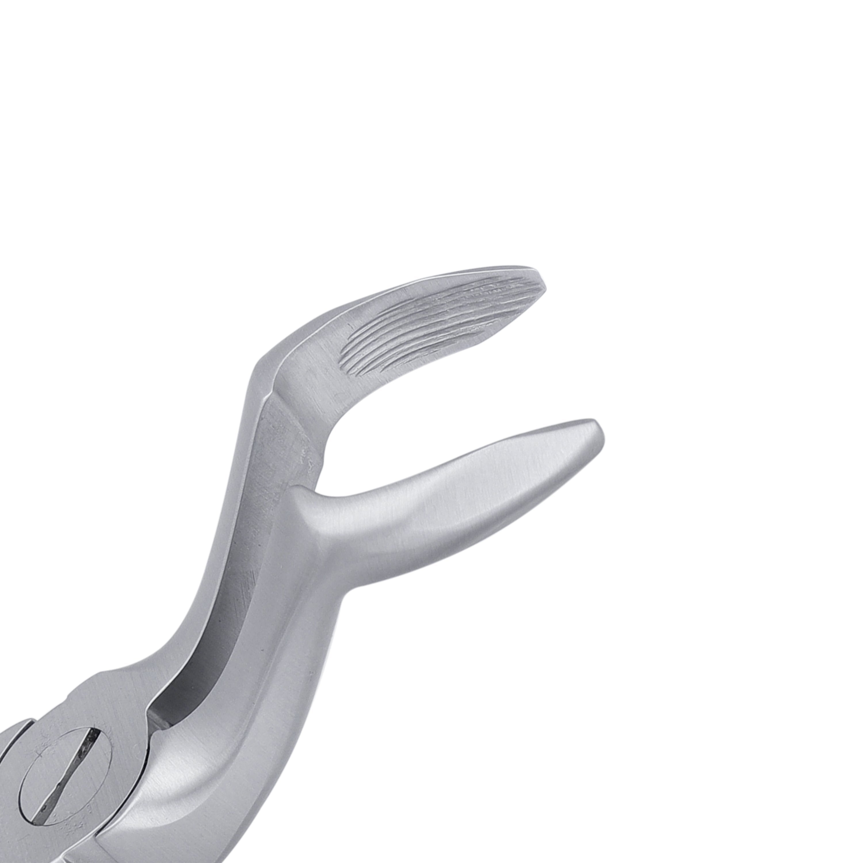 AF67A Apical Upper Molars Extraction Forceps - HiTeck Medical Instruments