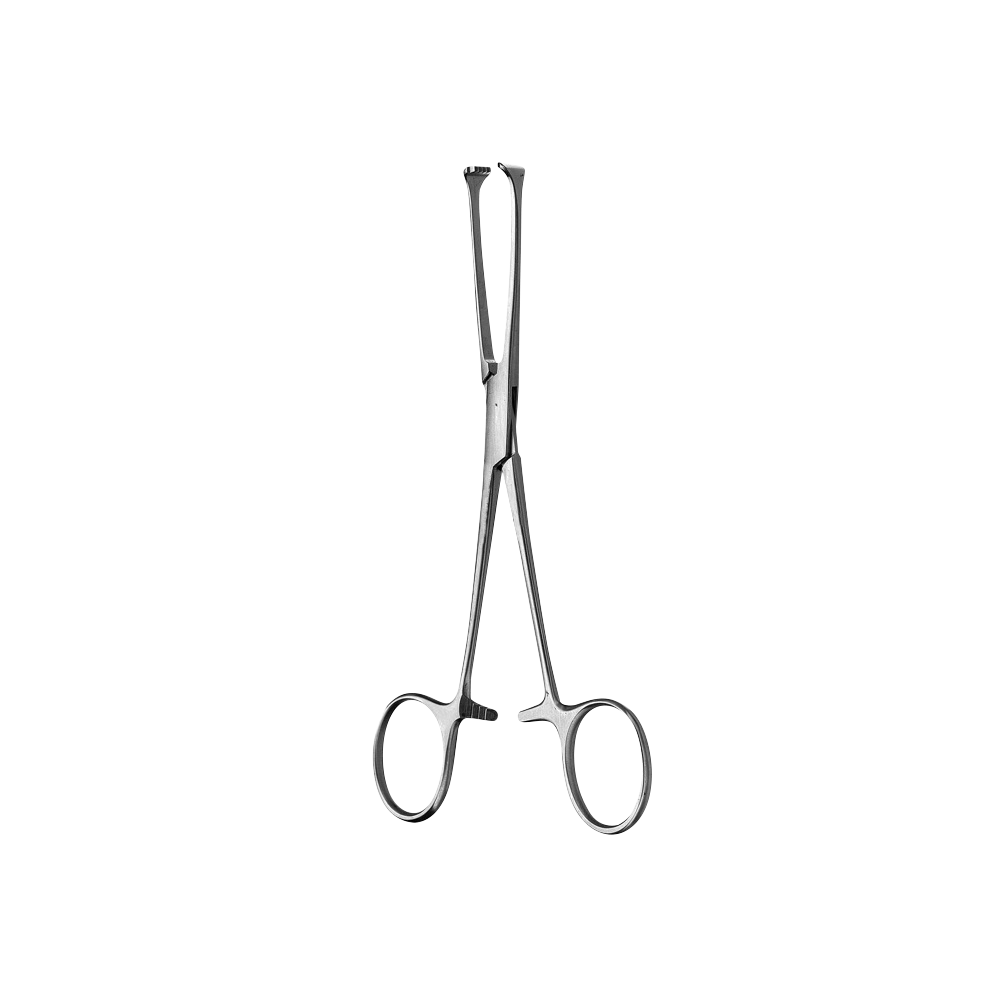 Allis Tissue Forcep, 5x6 Teeth, 15CM - HiTeck Medical Instruments