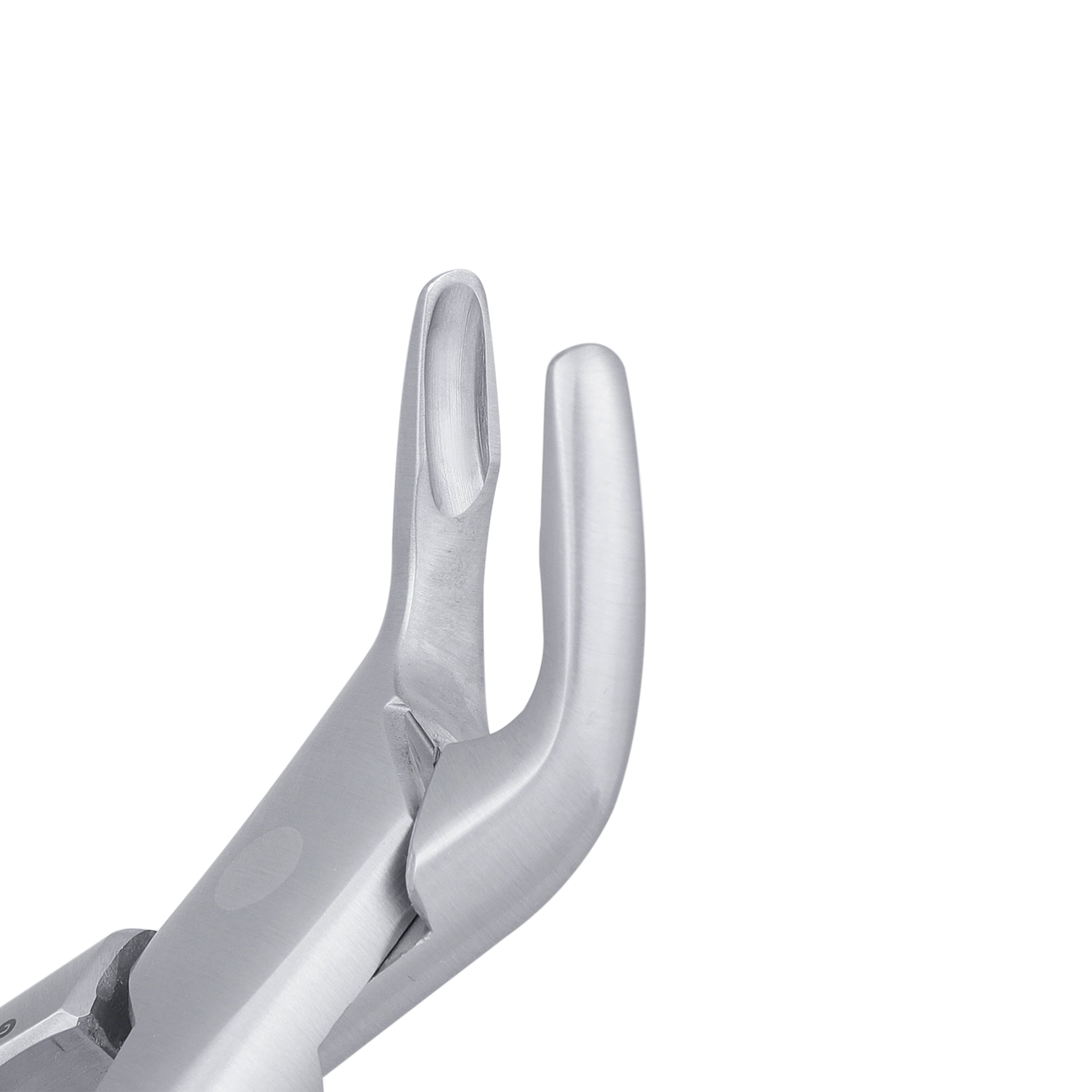 203 Lower Incisors, Canines & Premolars Extraction Forceps - HiTeck Medical Instruments