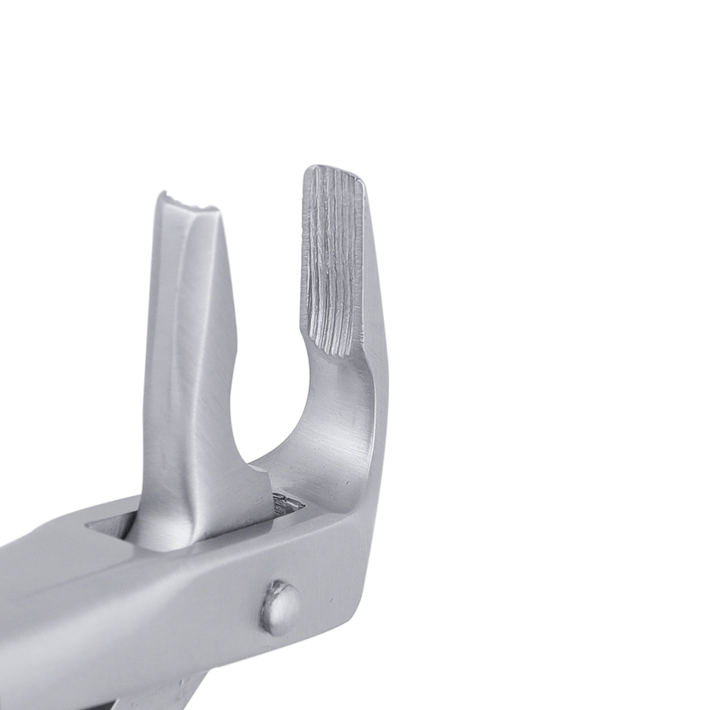 36 Apical Lower Premolars & Incisors  Atraumair Extraction Forceps - HiTeck Medical Instruments