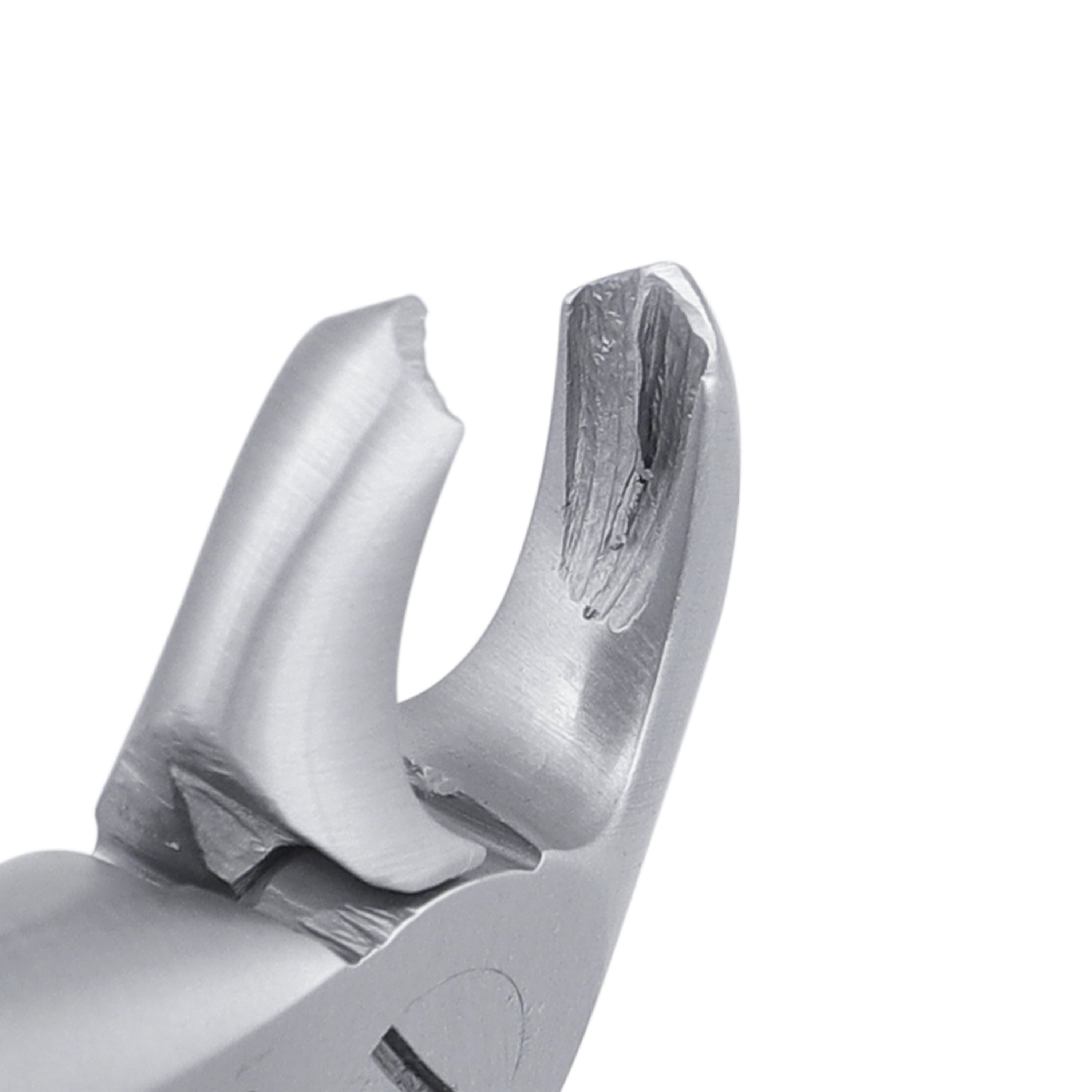 2C Pedo Lower Molars English Extraction Forcep - HiTeck Medical Instruments