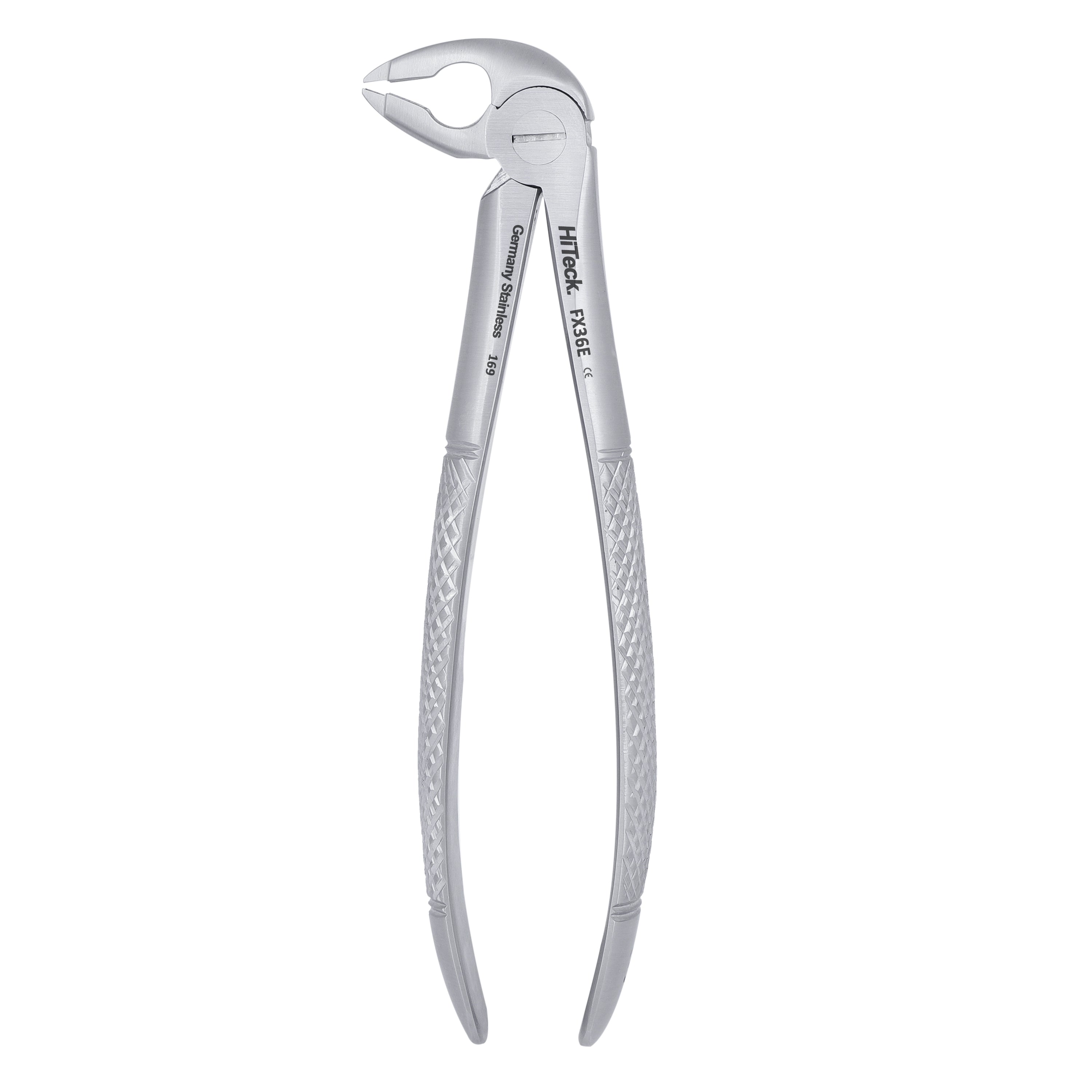 36 Serrated Lower Premolars Extraction Forcep - HiTeck Medical Instruments