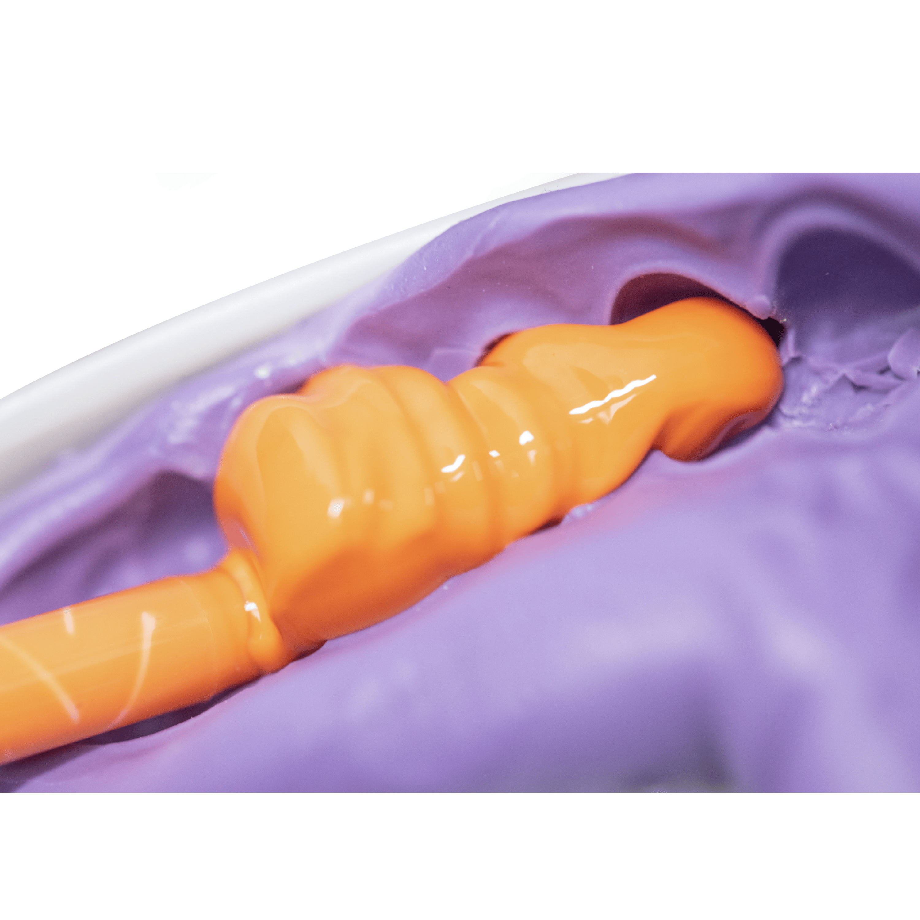 PERFIT Light Body Elastomeric Impression Material – Normal Set or Fast Set, 50 mL × 2 Cartridges