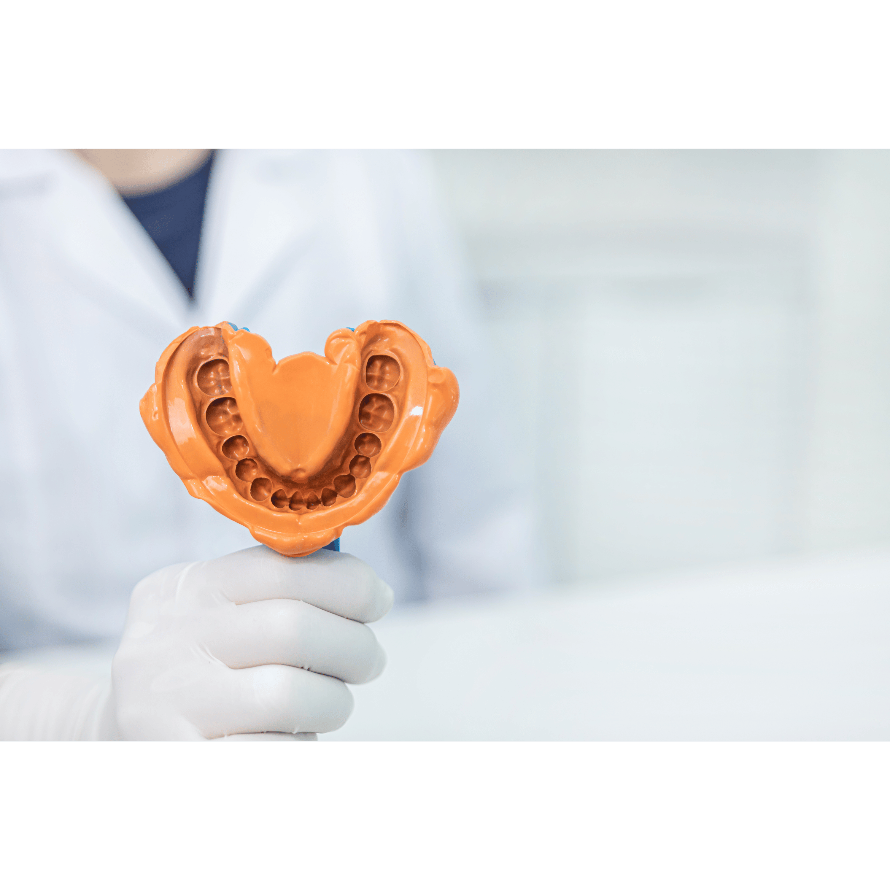 PERFIT Light Body Elastomeric Impression Material – Normal Set or Fast Set, 50 mL × 2 Cartridges