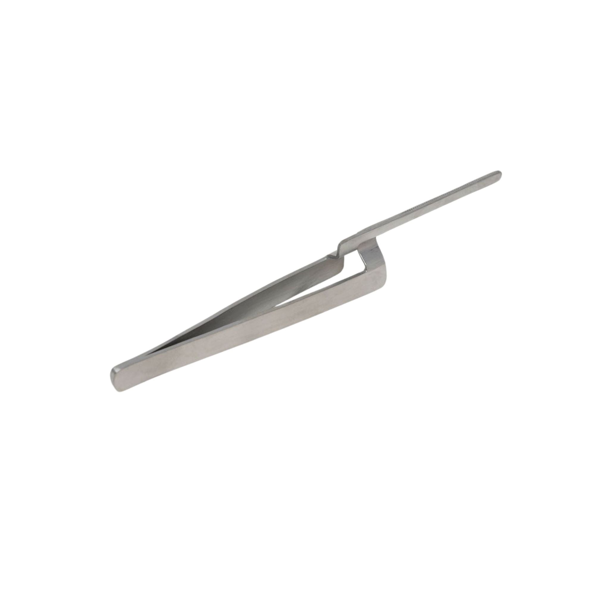Back view of stainless steel straight head dental articulating paper forceps