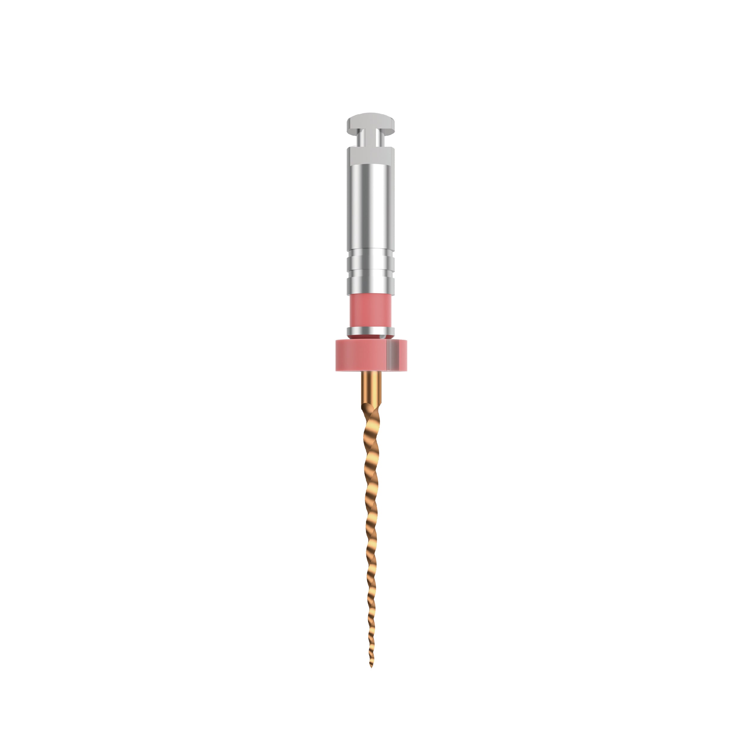 NIC DT Gold File ISO 25 Red | EBIKO Dental