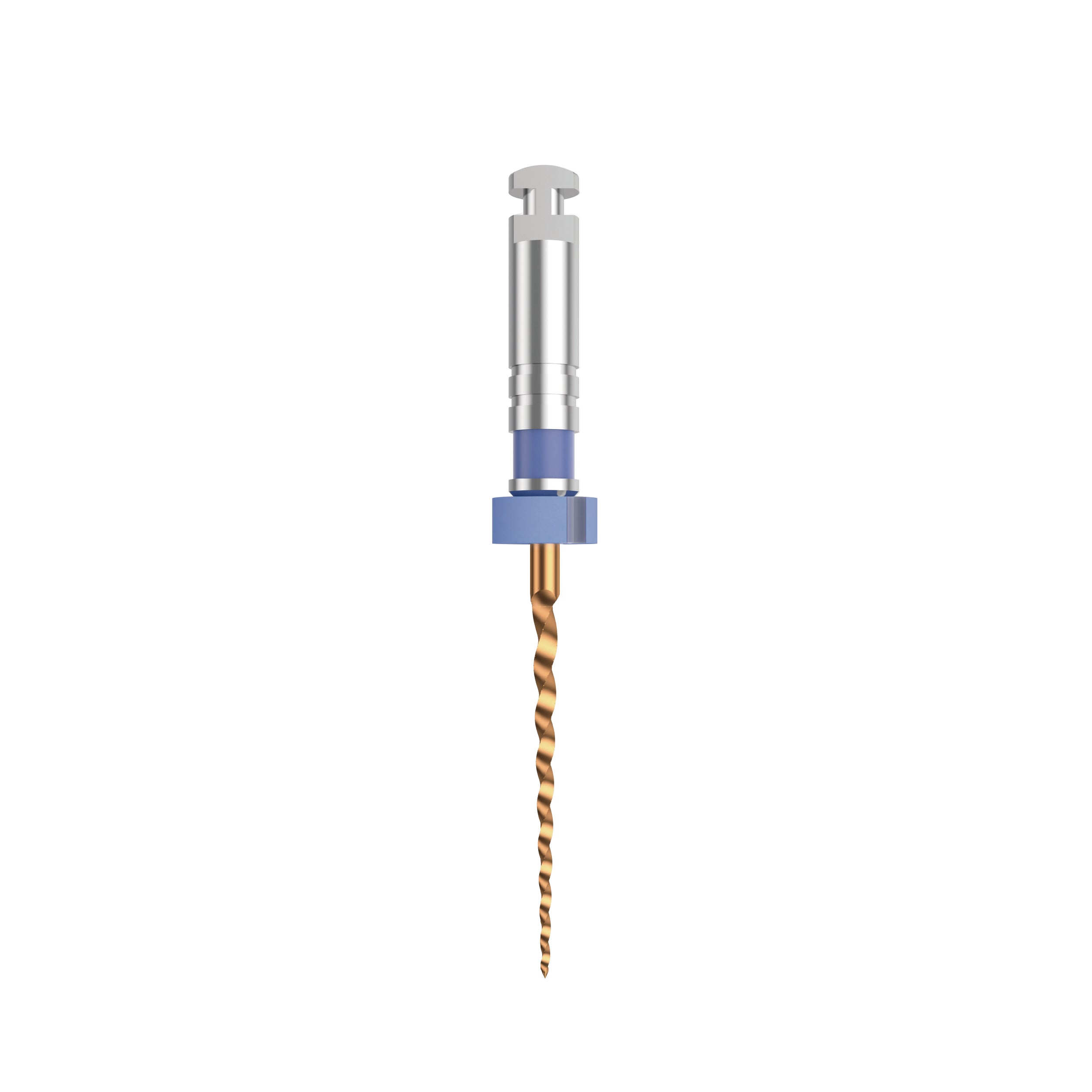 NIC DT Gold File ISO 30 Blue | EBIKO Dental