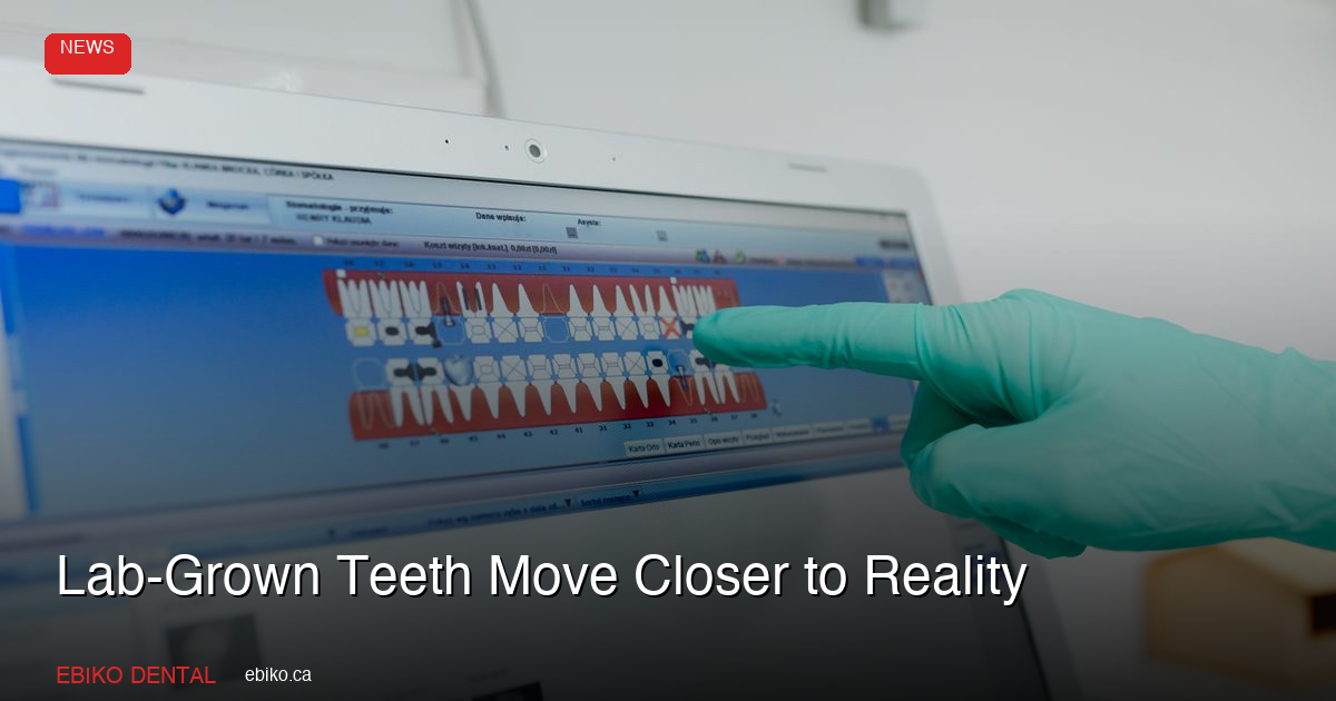 Laboratory-Grown Teeth Move Closer to Reality as King's College Hydrogel Breakthrough Advances Regenerative Dentistry - EBIKO Dental Blog