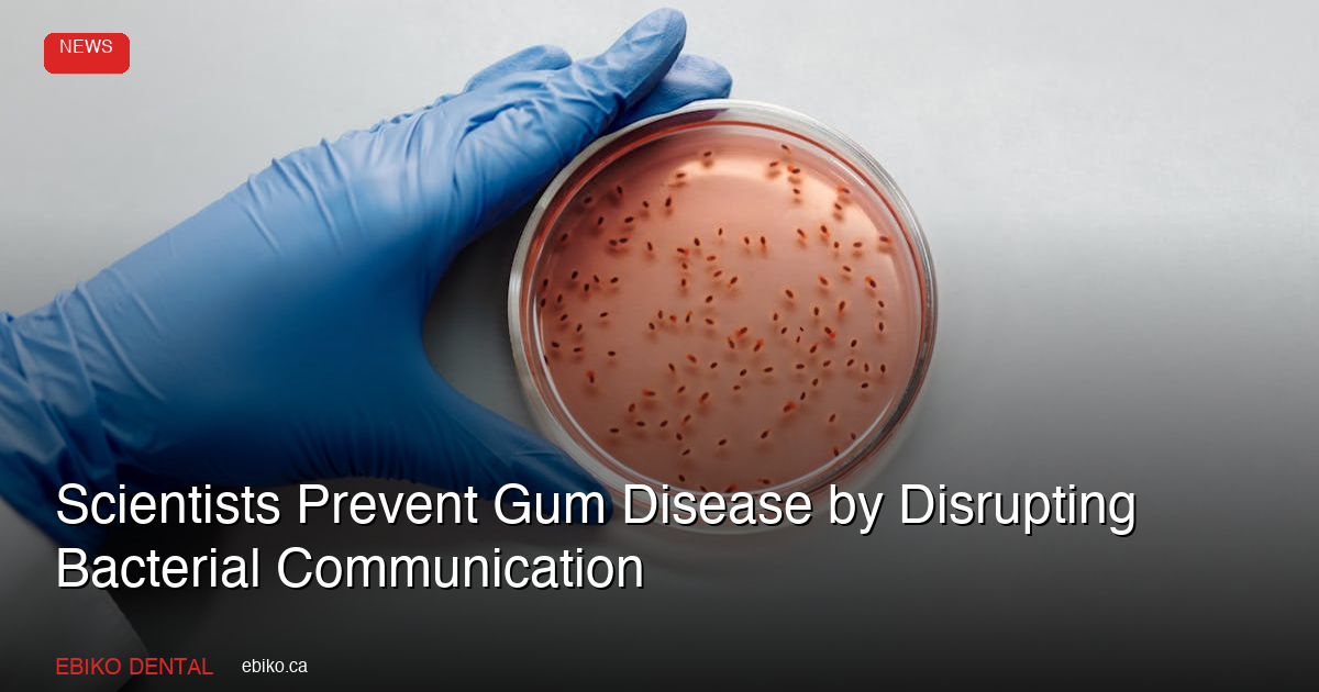 Scientists Prevent Gum Disease by Disrupting Bacterial Communication in New 2026 Study - EBIKO Dental Blog