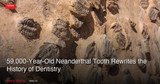 59,000-Year-Old Neanderthal Tooth Rewrites the History of Dentistry