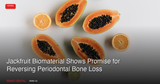 Jackfruit Biomaterial May Reverse Periodontal Bone Loss