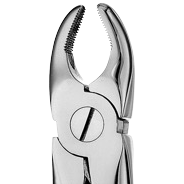 1 Serrated Upper Anteriors Extraction Forceps – SKU 1401 | EBIKO Dental
