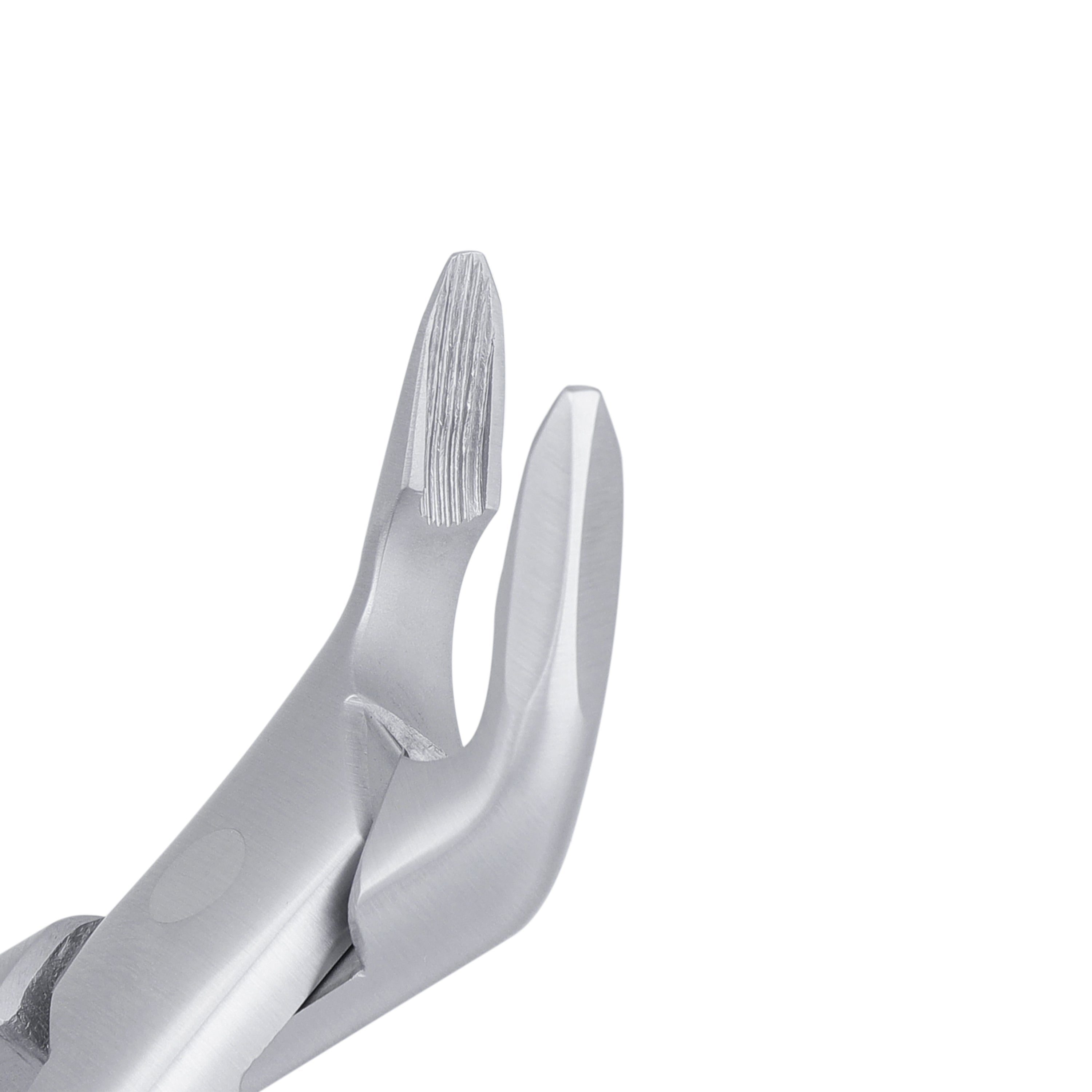 AF151 Apical Lower Universal Extraction Forcep - HiTeck Medical Instruments