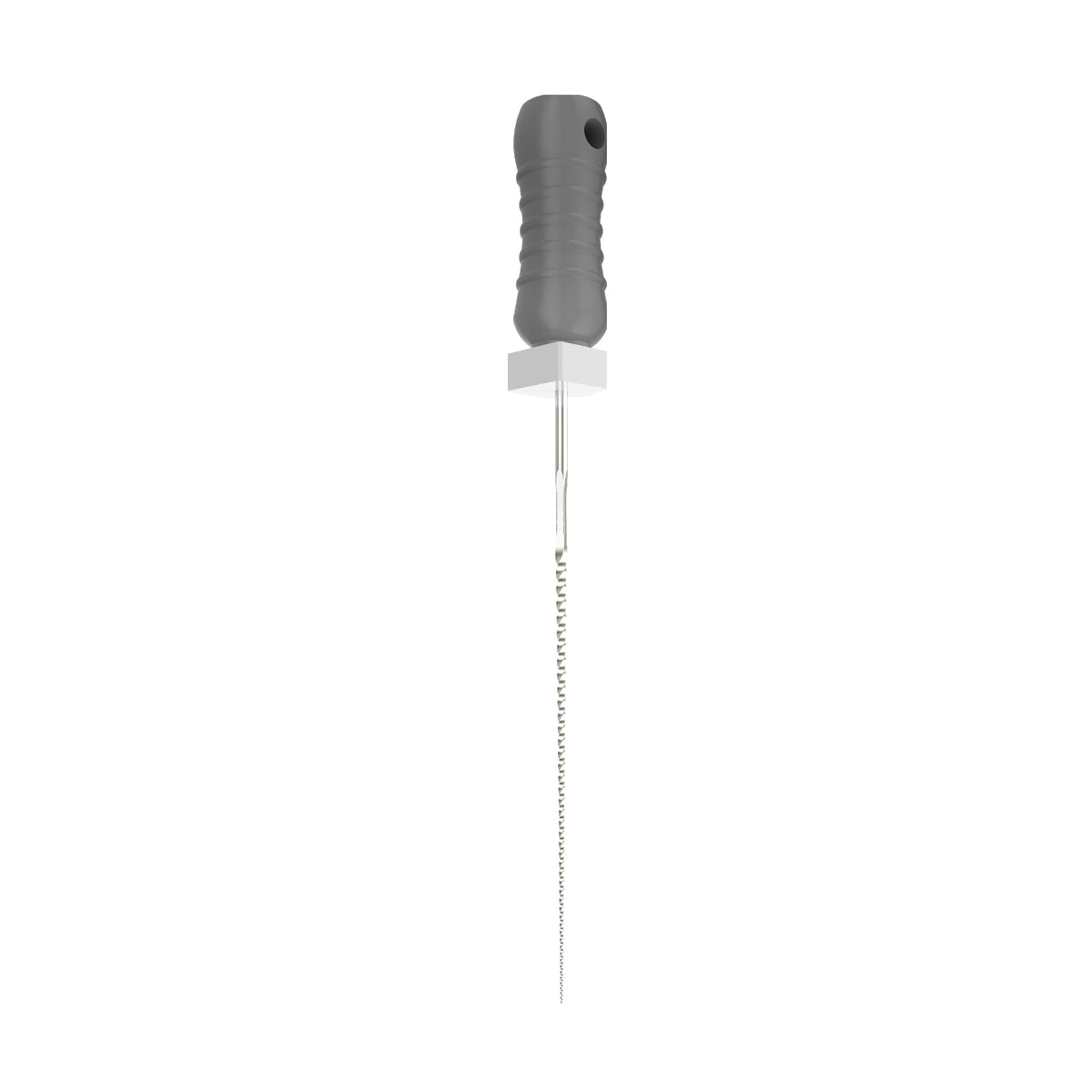 EBIKO Hand K-File Stainless Steel 6/Pk | EBIKO Dental