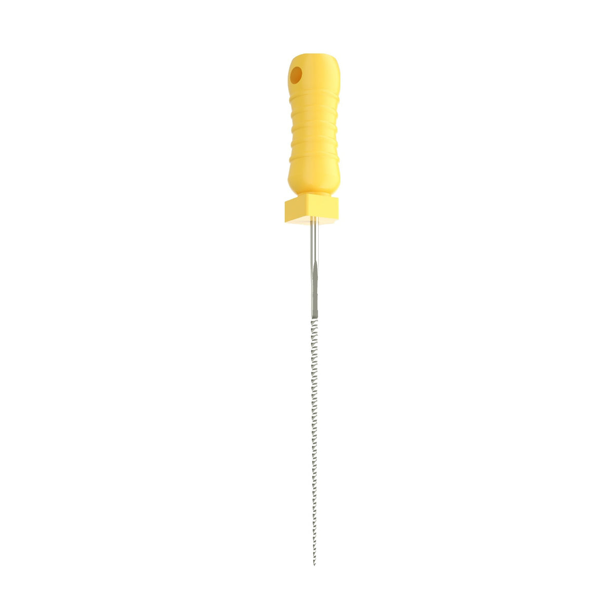 EBIKO Hand K-File Stainless Steel 6/Pk | EBIKO Dental