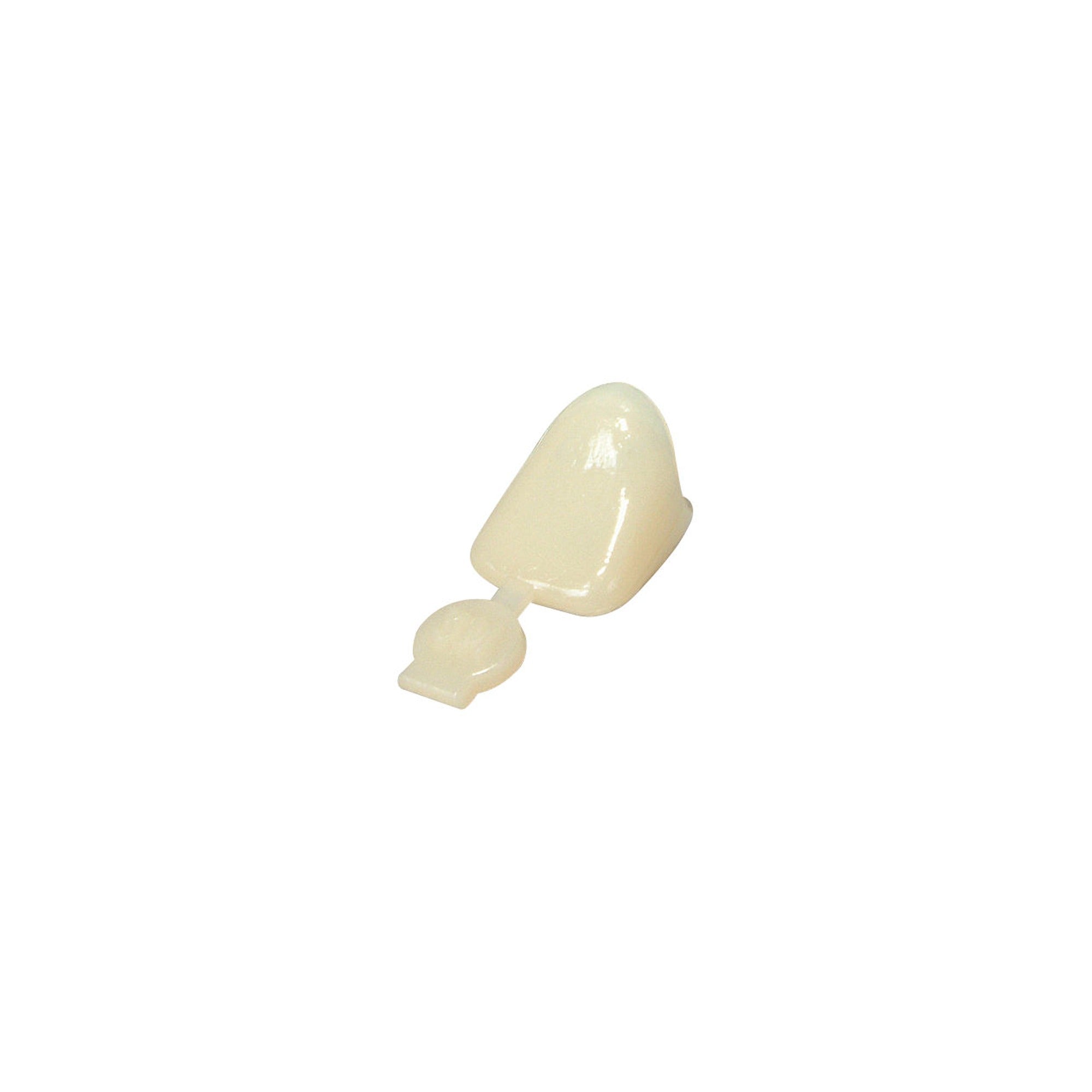 3M Polycarbonate Crowns | EBIKO Dental - alternate view
