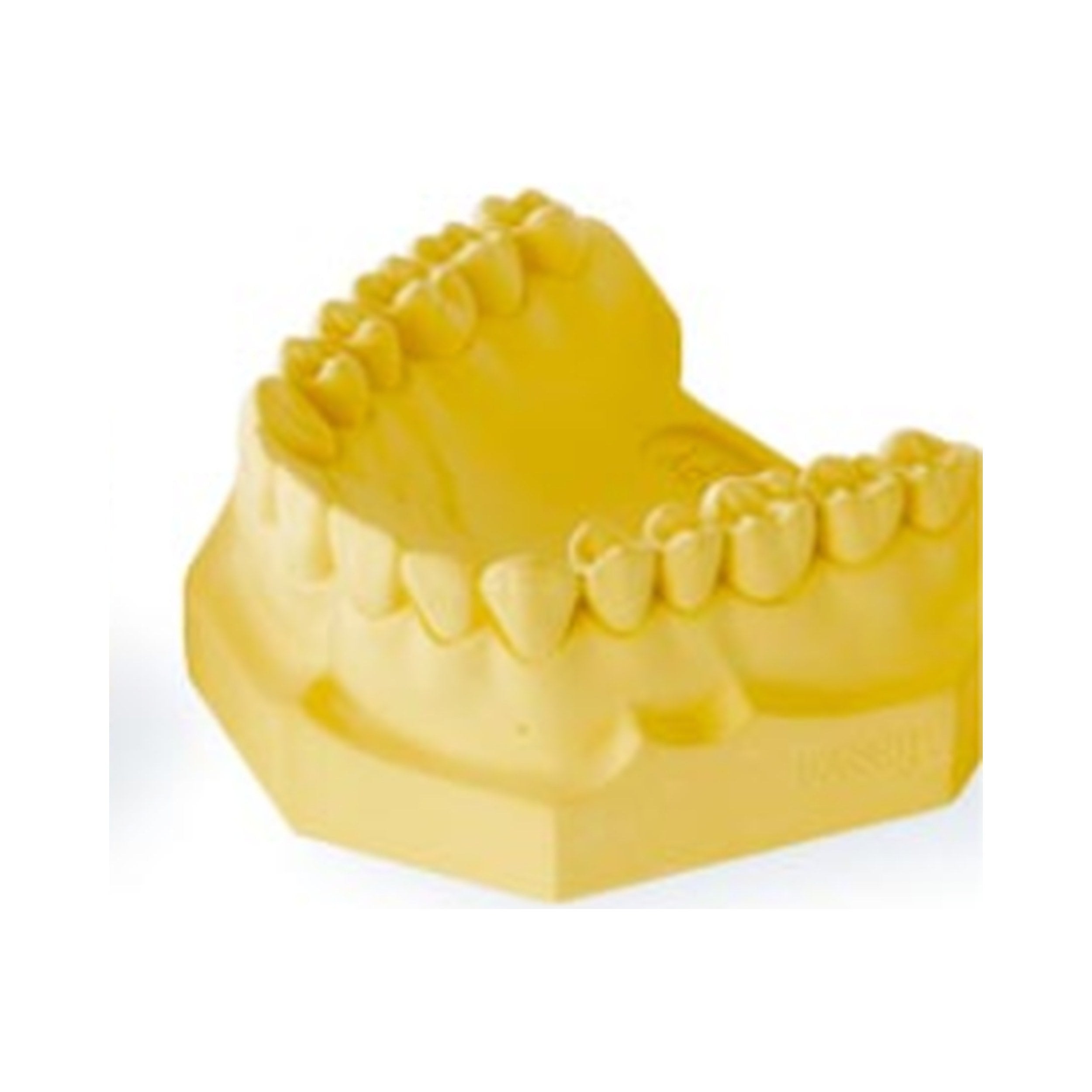 Labstone Type III Yellow Dental Stone Cast | EBIKO Dental